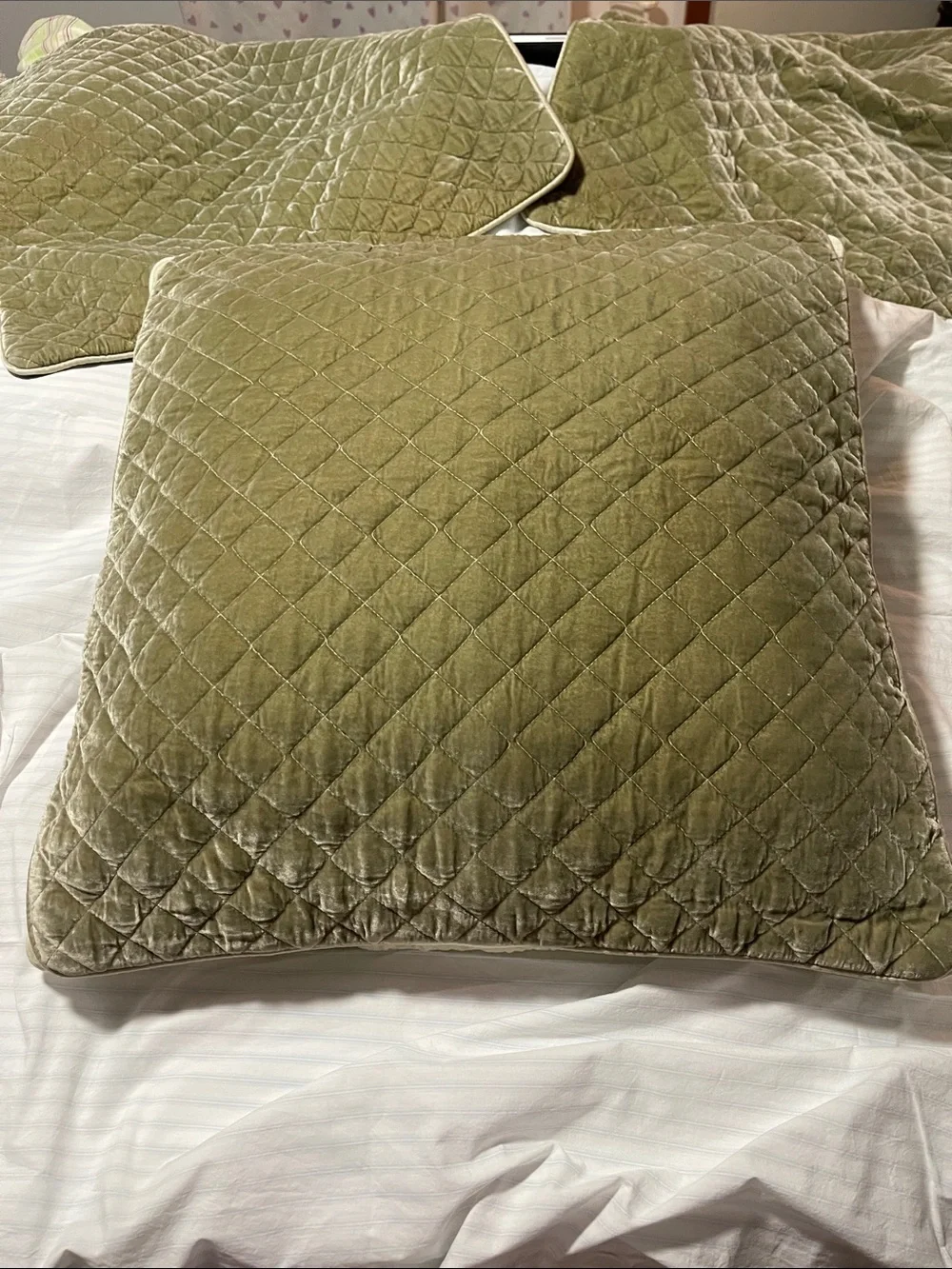 NWOT BELLA NOTTE silk and quilted velvet EURO SHAMS SAND